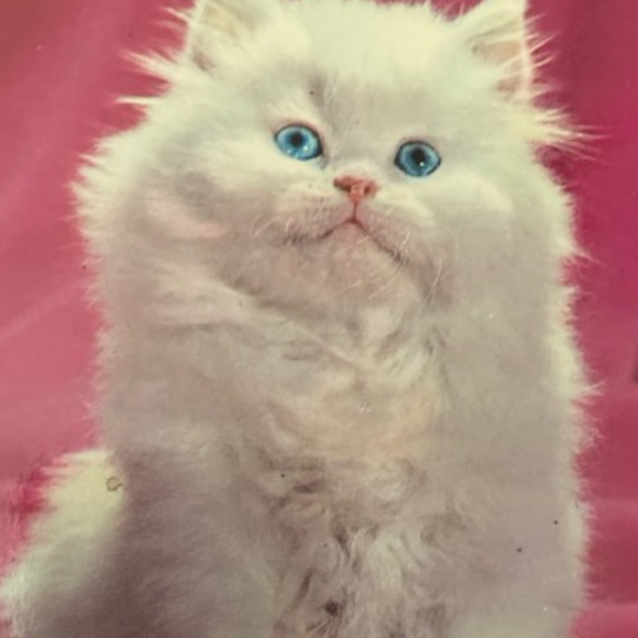 1950's White Fur Wrap - Picture 6 of 6